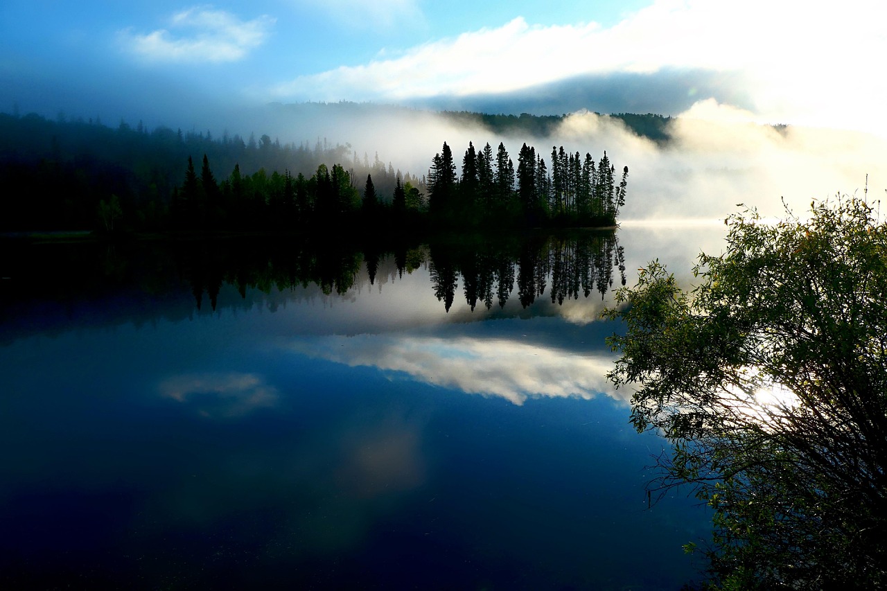 découvrez l'importance de la restauration des écosystèmes pour préserver notre planète. apprenez comment des initiatives innovantes et des pratiques durables peuvent revitaliser la biodiversité, améliorer la qualité de l'air et de l'eau, et assurer un avenir sain pour les générations futures.