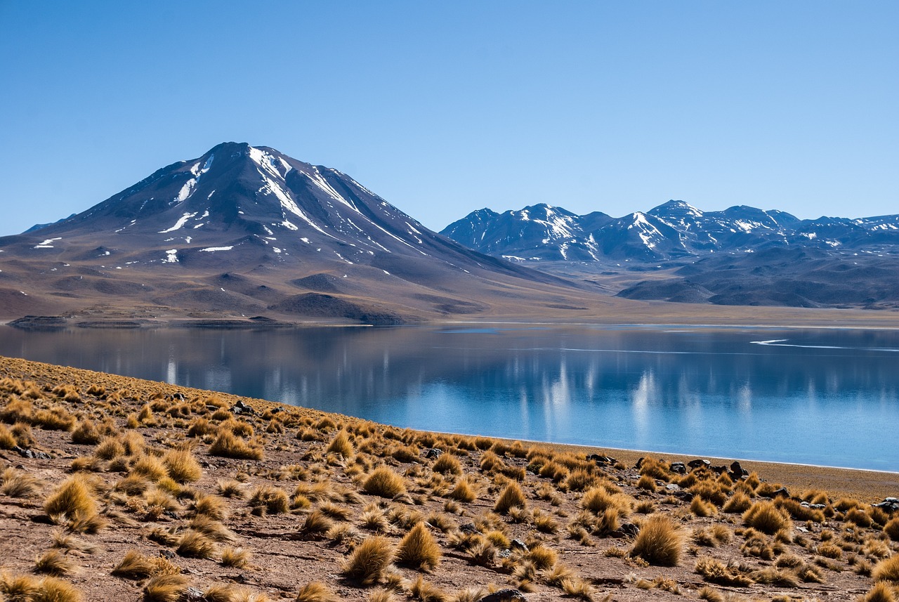 découvrez l'importance de la restauration des écosystèmes pour préserver la biodiversité, lutter contre le changement climatique et promouvoir un développement durable. apprenez comment des initiatives locales et globales œuvrent pour revitaliser nos milieux naturels.