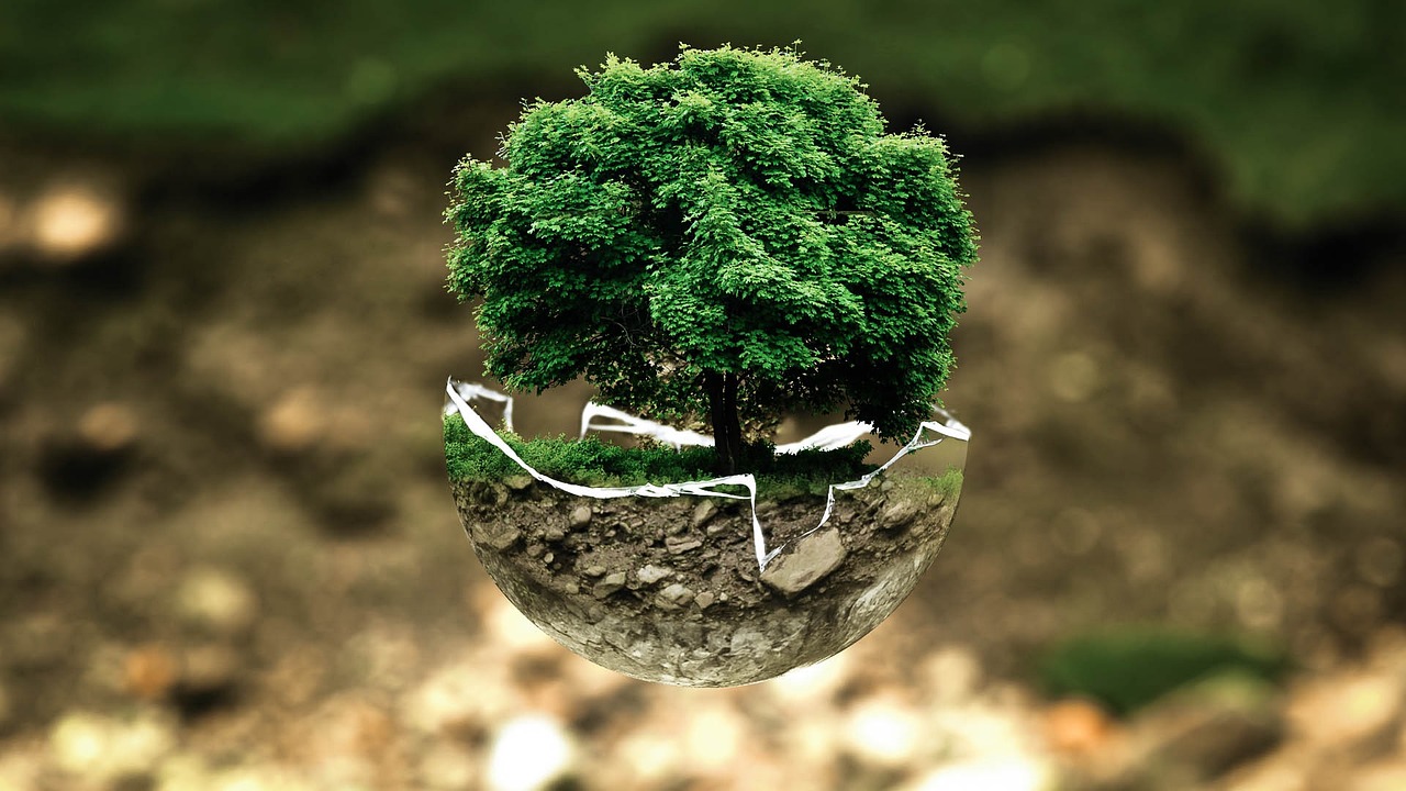 découvrez comment la cartographie environnementale aide à visualiser et à analyser les données écologiques pour une gestion durable des ressources naturelles. explorez les outils et techniques modernes qui permettent de mieux comprendre notre planète.