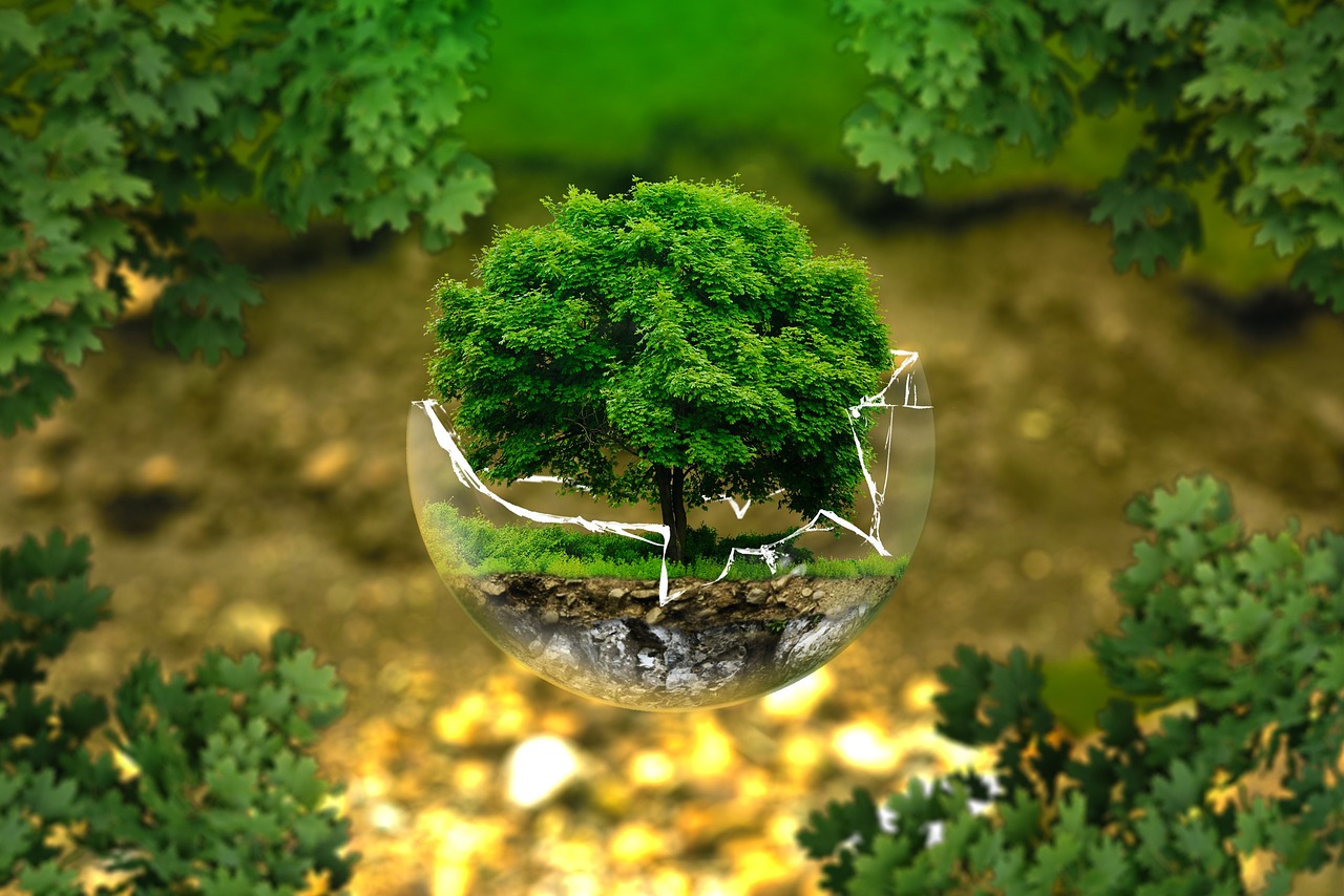 découvrez l'importance des droits environnementaux et leur impact sur la protection de notre planète. explorez comment ces droits garantissent un environnement sain pour les générations futures et soutiennent la durabilité.