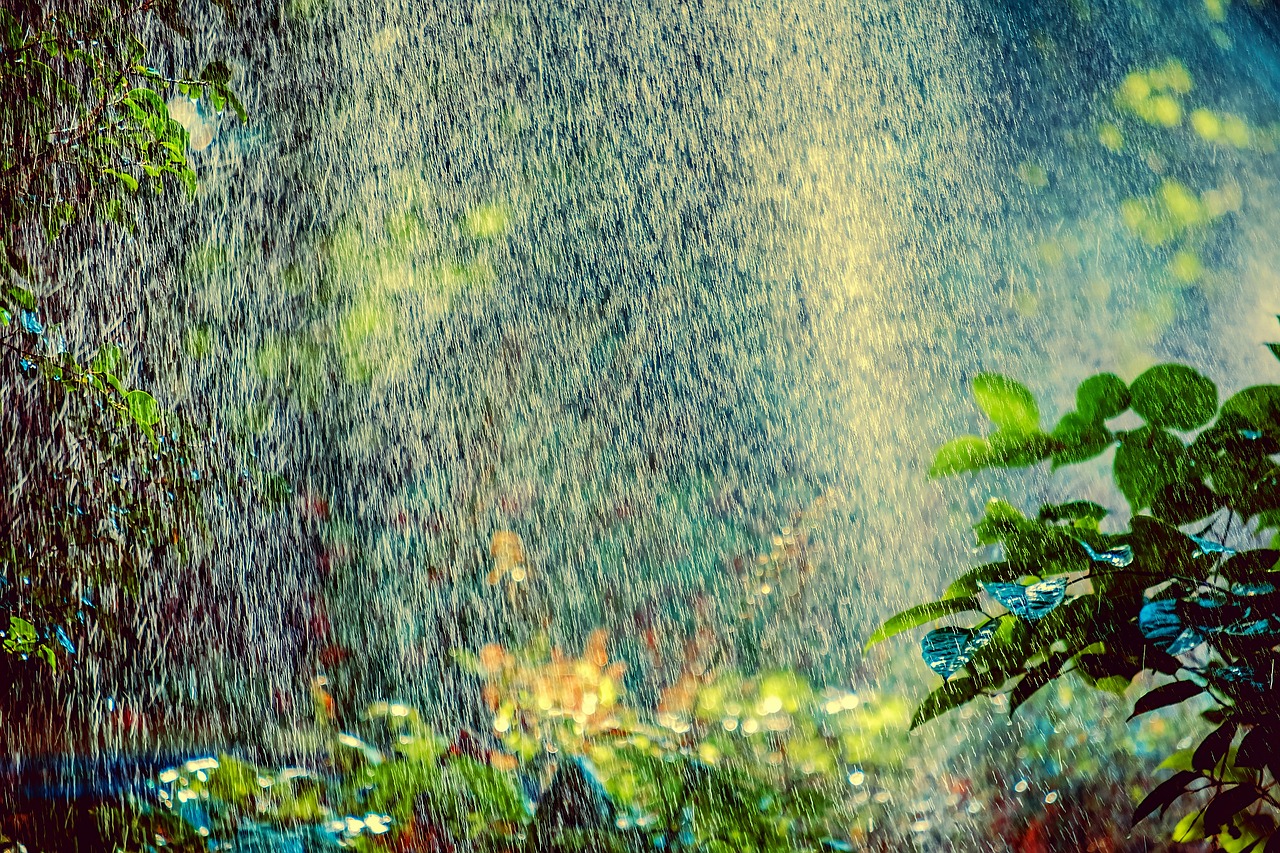 découvrez tout sur la canicule : ses causes, ses effets sur la santé et l'environnement, ainsi que des conseils pratiques pour rester au frais et en sécurité pendant ces périodes de chaleur intense.