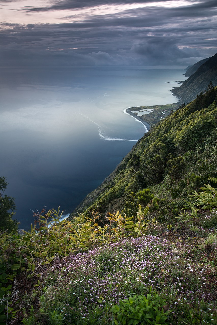 découvrez la richesse de la biodiversité marine, un écosystème fascinant rempli d'espèces uniques et essentielles à la santé de notre planète. apprenez l'importance de sa préservation et les efforts inlassables pour protéger nos océans.