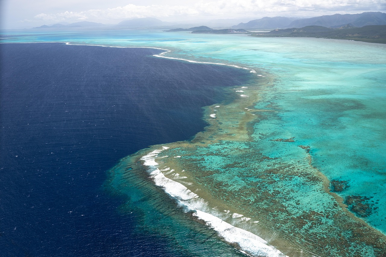 découvrez la nouvelle-calédonie, un paradis tropical alliant plages de sable blanc, paysages volcaniques majestueux et cultures mélanésiennes riches. explorez ses récifs coralliens, savourez une cuisine délicieuse et laissez-vous séduire par la chaleur de ses habitants. votre aventure vous attend dans cette destination unique du pacifique sud.