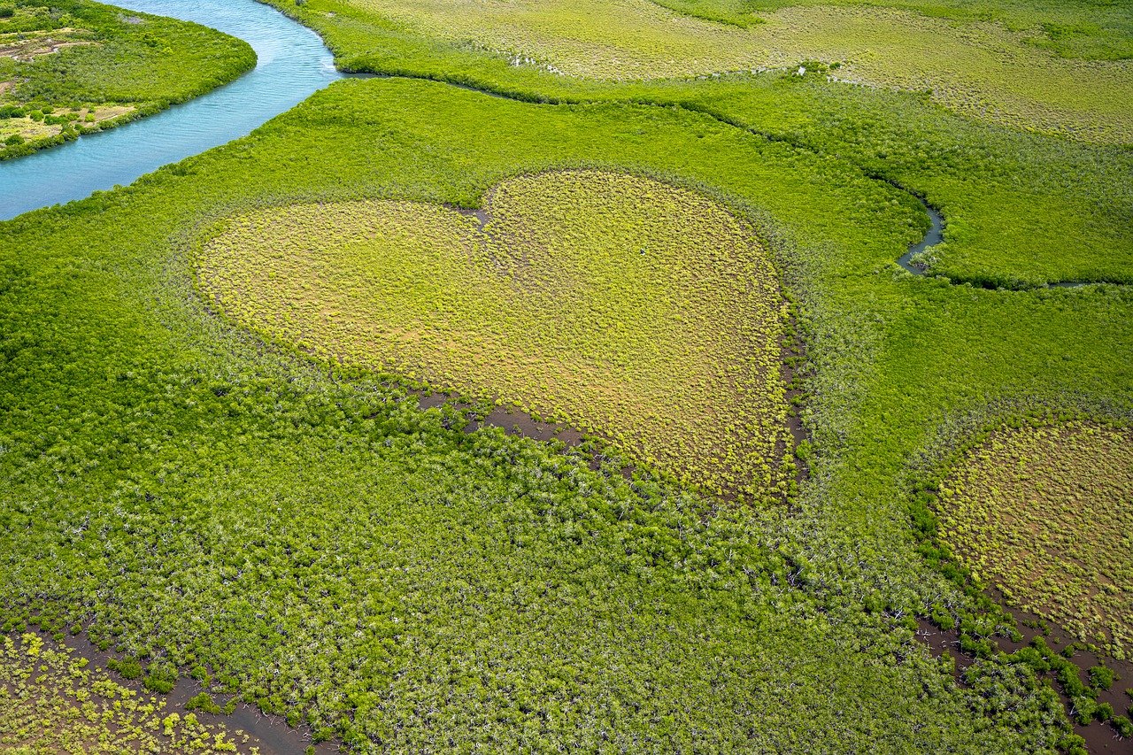 découvrez la nouvelle-calédonie, un paradis tropical au cœur du pacifique, célèbre pour ses plages de sable blanc, ses lagons cristallins et sa biodiversité exceptionnelle. explorez une culture riche, des paysages à couper le souffle et des activités inoubliables pour une escapade de rêve.