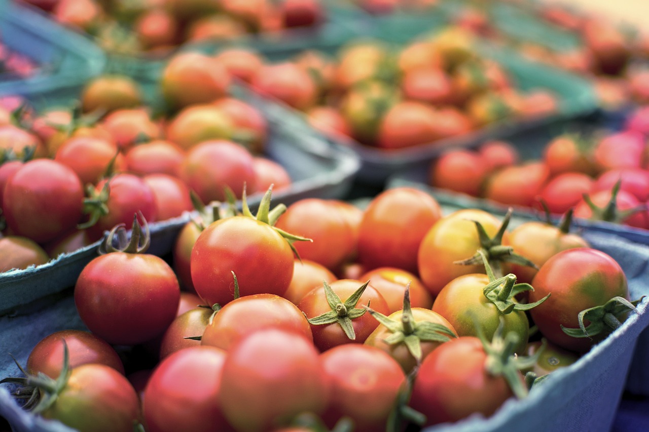 découvrez l'agriculture biologique, une pratique durable qui préserve l'environnement tout en produisant des aliments sains et nutritifs. apprenez les avantages des méthodes naturelles, la gestion des sols et la biodiversité pour un avenir agricole responsable.