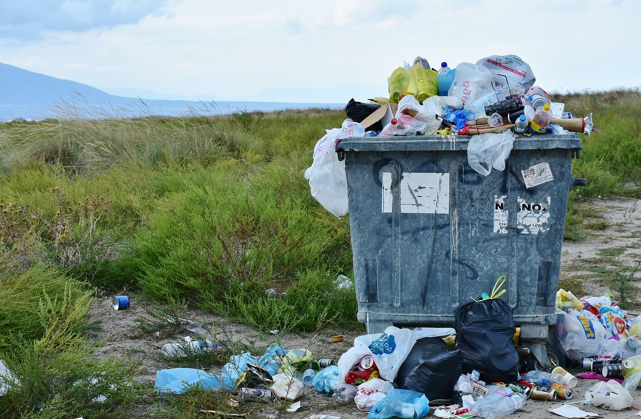découvrez comment le recyclage des déchets organiques contribue à un environnement plus sain et durable. apprenez les meilleures pratiques pour valoriser vos déchets alimentaires et réduire votre empreinte écologique.