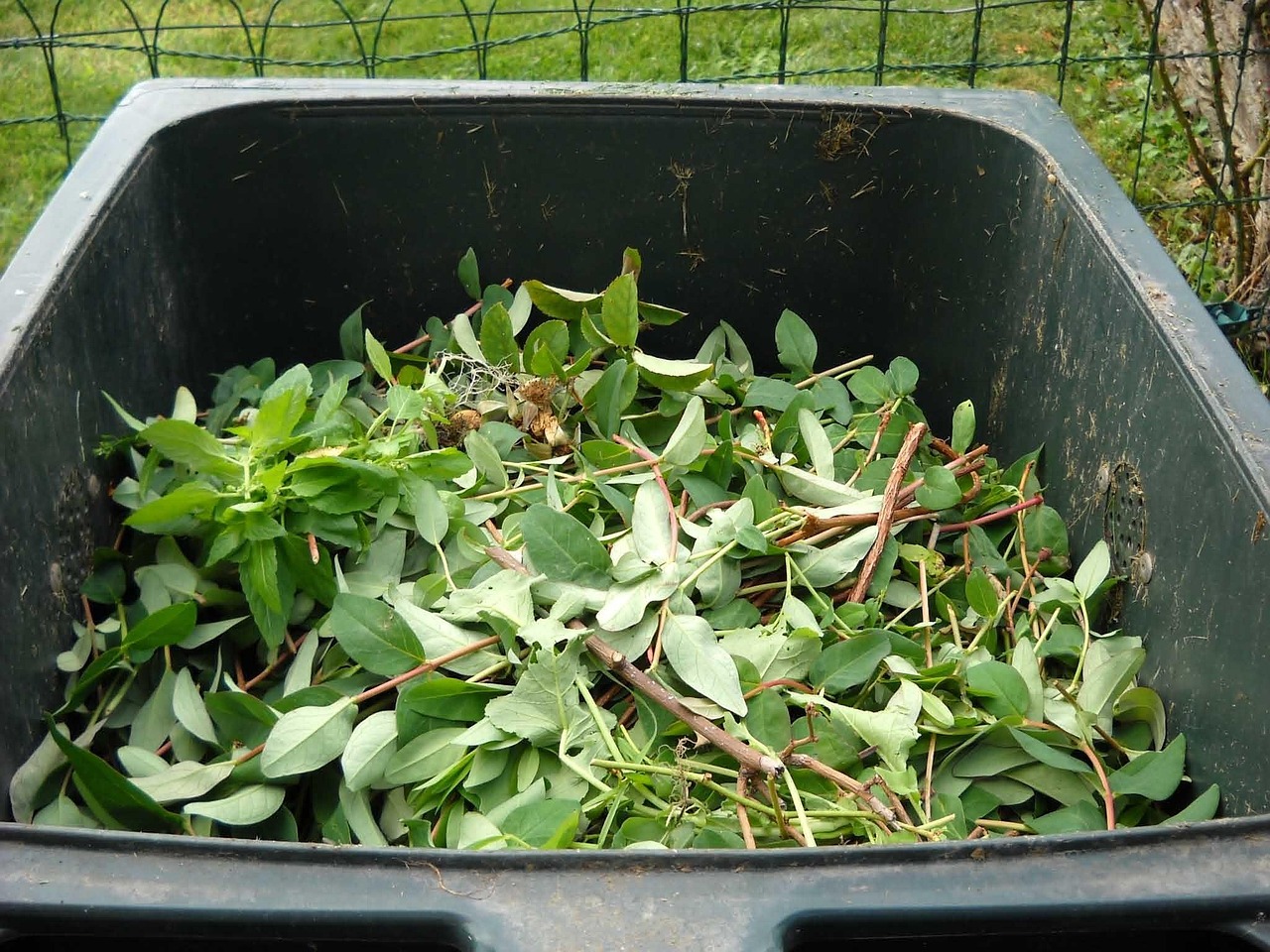 découvrez l'importance du recyclage pour la préservation de notre environnement. apprenez comment trier vos déchets efficacement et contribuer à la réduction des déchets plastiques et à la sauvegarde des ressources naturelles.