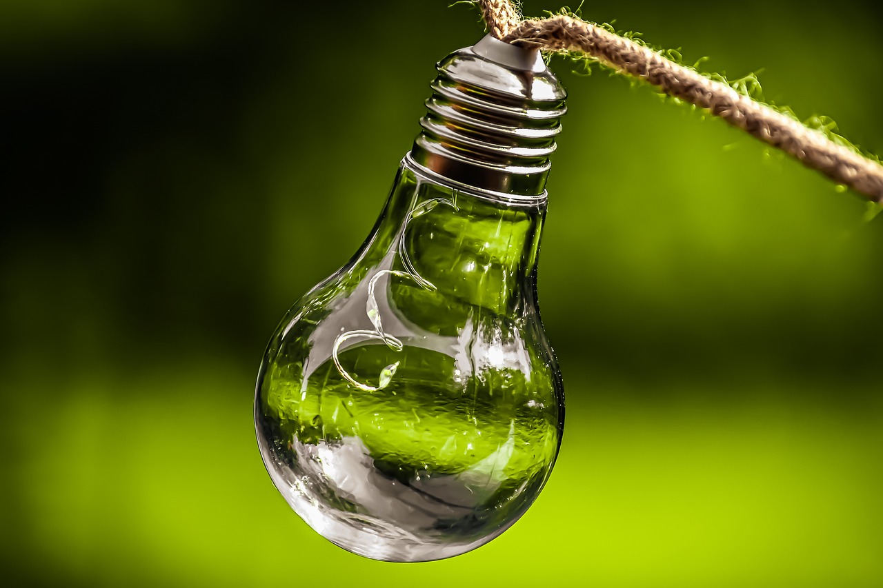 découvrez notre guide complet sur la durabilité, explorez des pratiques respectueuses de l'environnement, et apprenez comment intégrer des solutions durables dans votre quotidien pour préserver notre planète pour les générations futures.