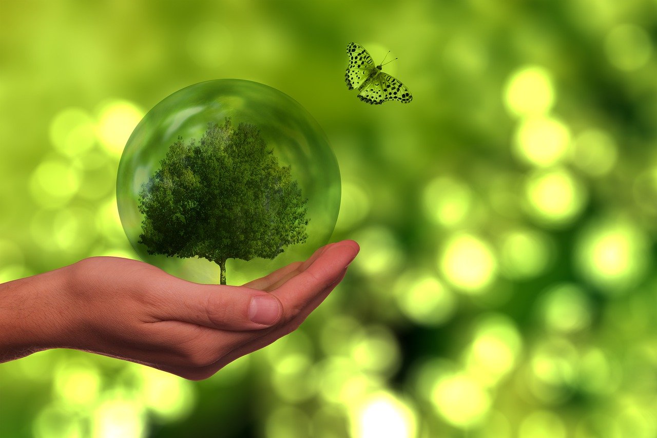 découvrez l'importance de la durabilité pour notre planète. explorez des pratiques écologiques et des solutions innovantes pour un avenir durable, équilibrant les besoins économiques, sociaux et environnementaux.