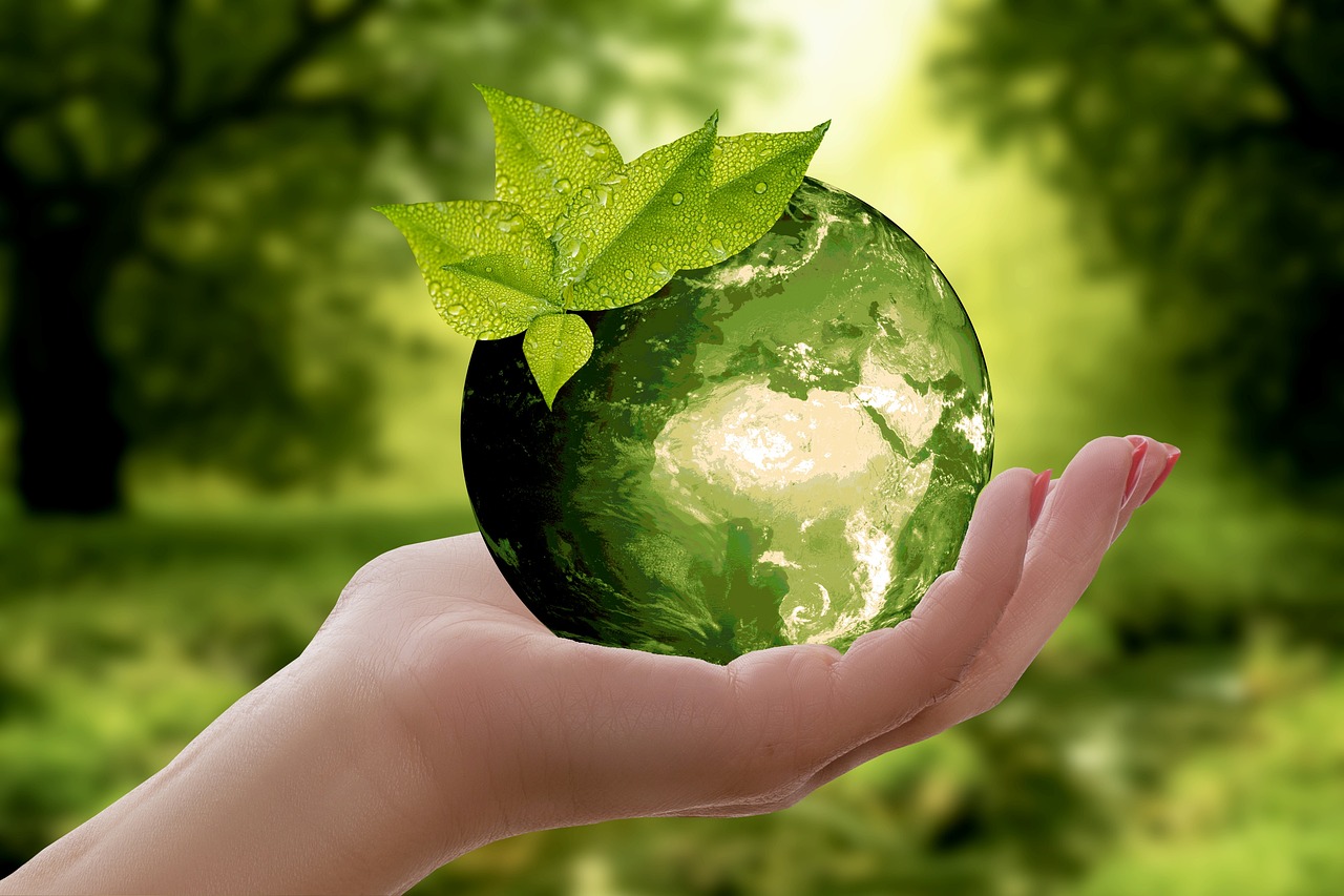 découvrez l'importance de la durabilité dans notre monde moderne. cette approche écologique vise à préserver les ressources de la planète pour les générations futures, tout en favorisant un développement responsable et éthique. apprenez comment intégrer des pratiques durables dans votre quotidien et contribuer à un avenir plus vert.