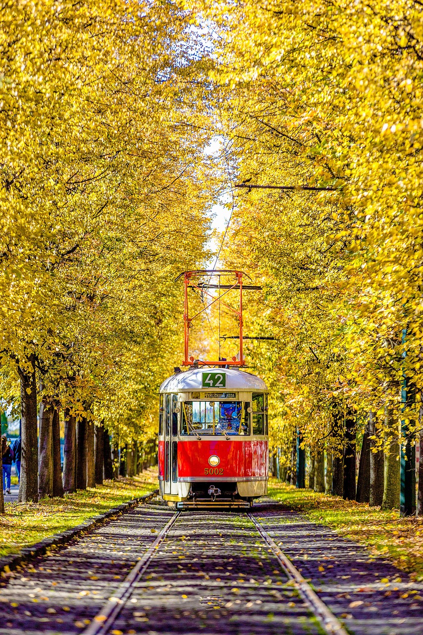 découvrez les avantages des transports publics durables : une solution écologique, économique et accessible pour réduire la pollution et favoriser une mobilité responsable dans nos villes.