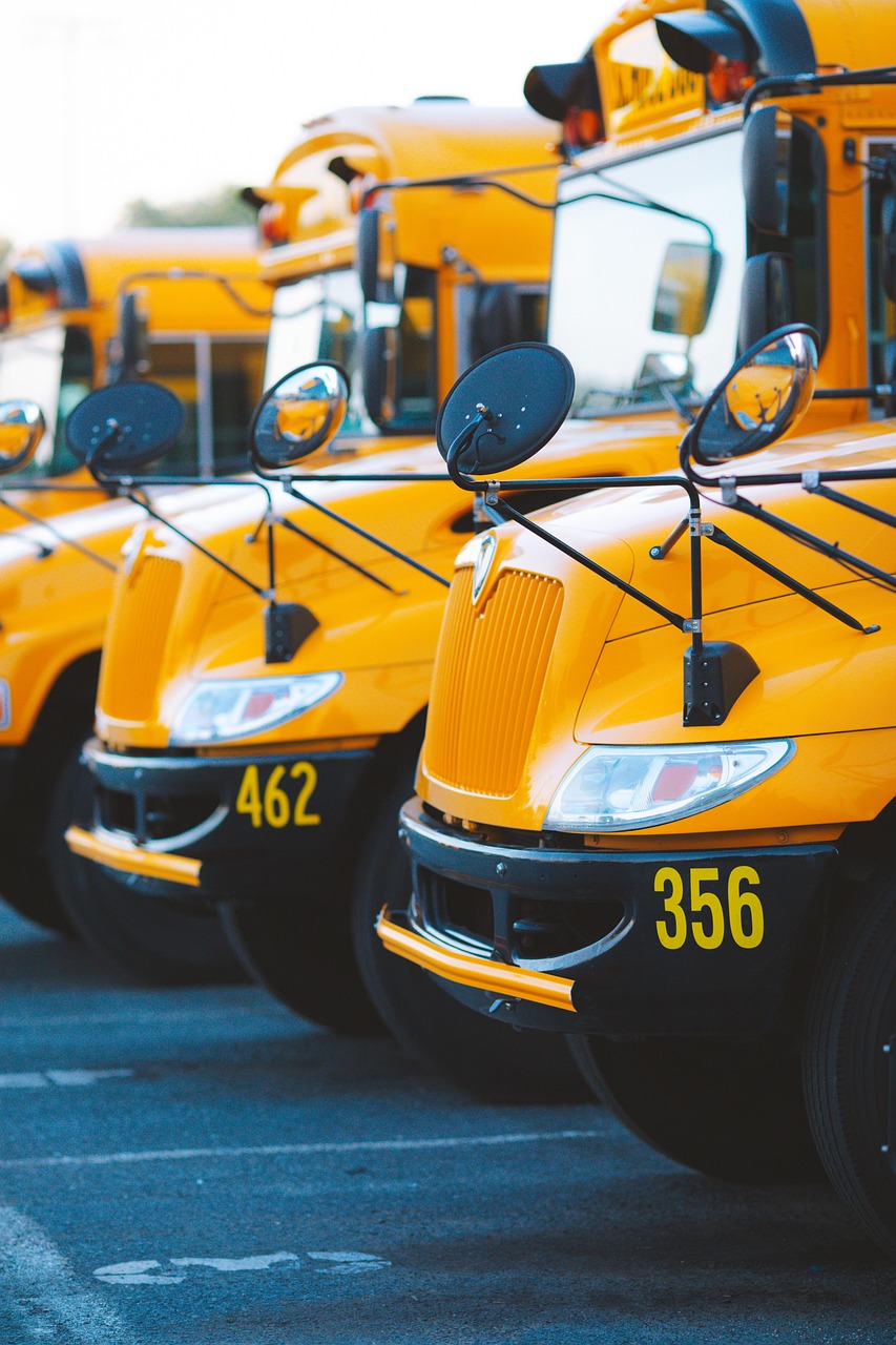 découvrez comment les écoles durables transforment l'éducation en intégrant des pratiques respectueuses de l'environnement. des initiatives innovantes pour un avenir plus vert et des générations conscientes !
