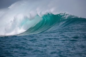 découvrez la magie des couleurs océaniques à travers notre article sur l'océan coloré. plongez dans un monde vibrant de bleus, verts et aquas, explorez les phénomènes naturels et les écosystèmes marins qui donnent vie à ces teintes fascinantes.
