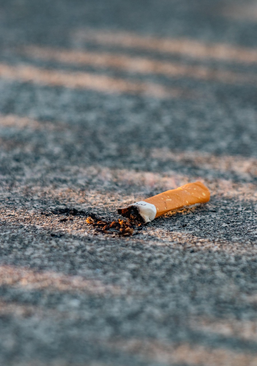 découvrez comment adopter des habitudes durables au quotidien pour un mode de vie plus respectueux de l'environnement. apprenez des conseils pratiques et des astuces pour intégrer la durabilité dans votre routine et contribuer à un avenir plus vert.