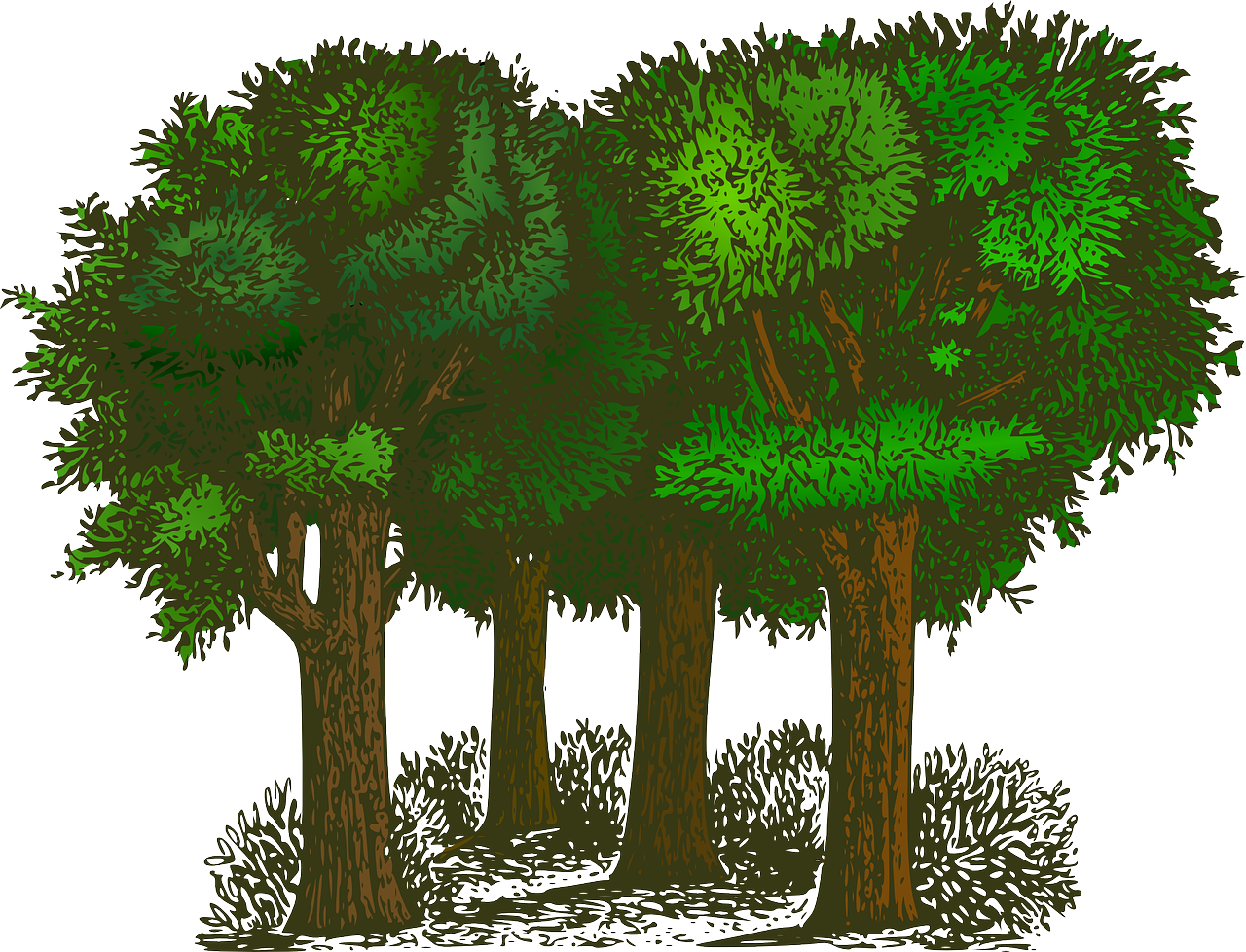découvrez l'écologie, la science qui étudie les relations entre les organismes vivants et leur environnement. apprenez comment préserver notre planète, favoriser la biodiversité et adopter des pratiques durables pour un avenir meilleur.