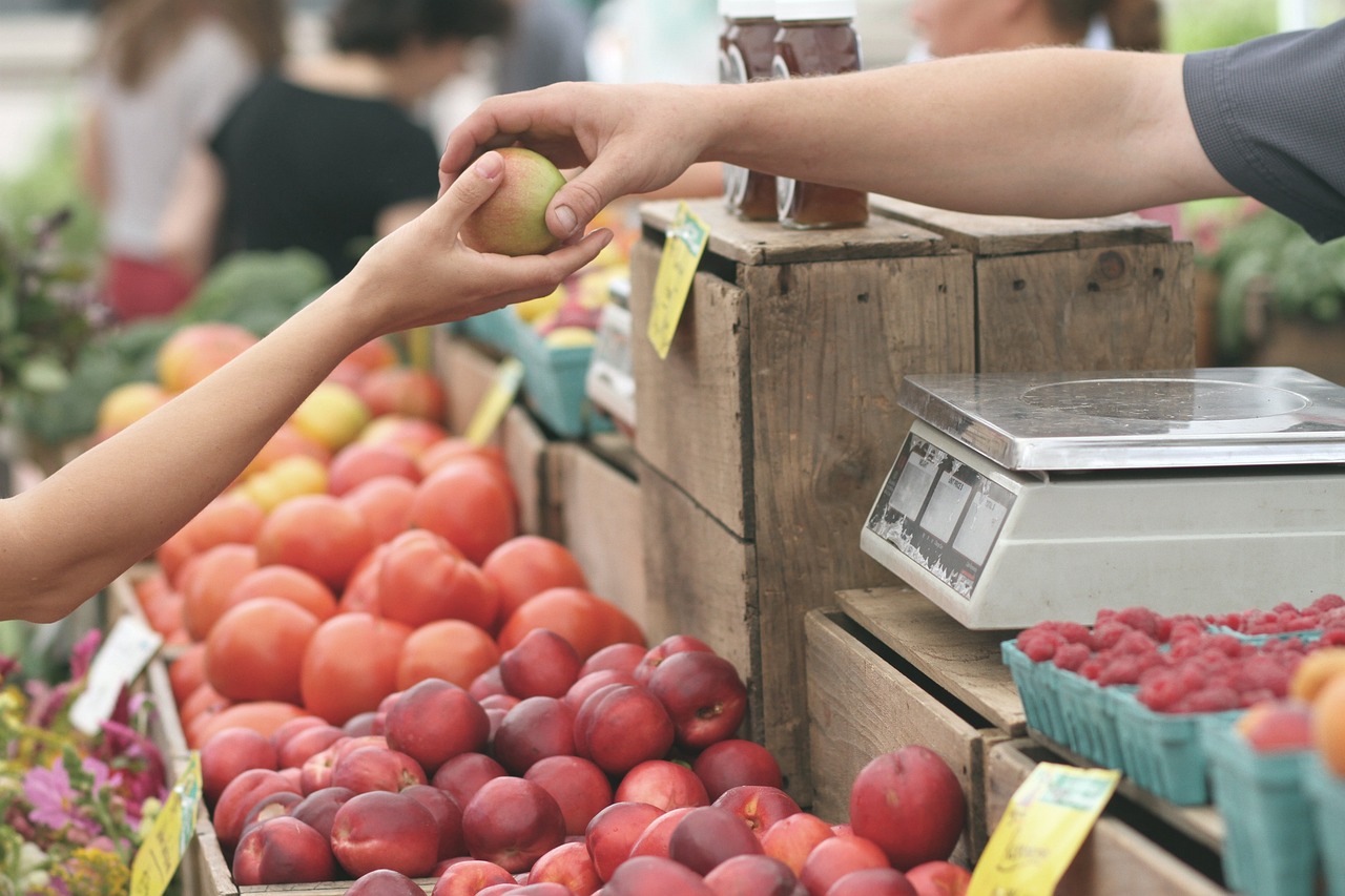 découvrez l'importance de l'échelle locale dans divers domaines, de l'urbanisme à l'écologie. apprenez comment cette approche peut favoriser un développement durable et répondre aux besoins spécifiques des communautés.