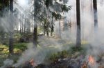 découvrez des astuces pratiques et des stratégies efficaces pour la conservation de l'eau. apprenez comment économiser cette précieuse ressource au quotidien et contribuer à la protection de notre environnement.