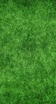 découvrez le programme eco-ambassadors, une initiative engagée pour sensibiliser et promouvoir les pratiques durables. rejoignez notre communauté d'ambassadeurs écologiques et apprenez à faire la différence pour notre planète.
