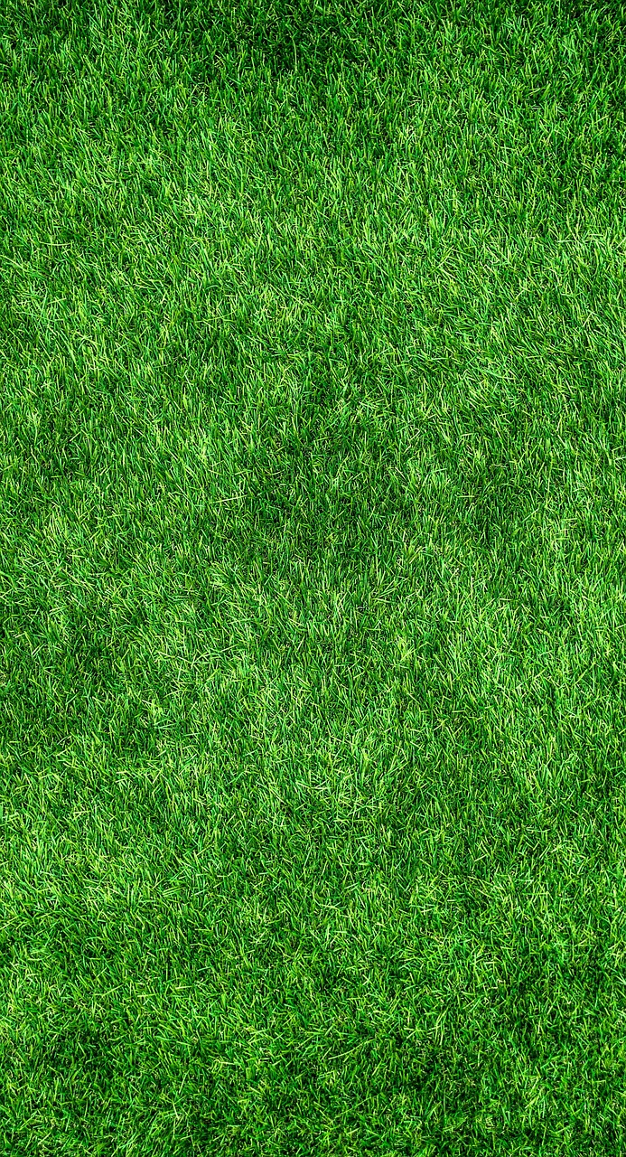 découvrez le programme eco-ambassadors, une initiative engagée pour sensibiliser et promouvoir les pratiques durables. rejoignez notre communauté d'ambassadeurs écologiques et apprenez à faire la différence pour notre planète.