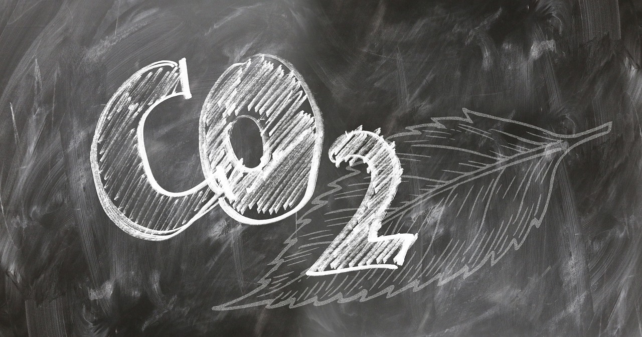 découvrez comment atteindre la neutralité carbone et contribuer à la préservation de notre planète. explorez les stratégies, les enjeux et les bénéfices d'une démarche durable et responsable pour un avenir sans empreinte carbone.