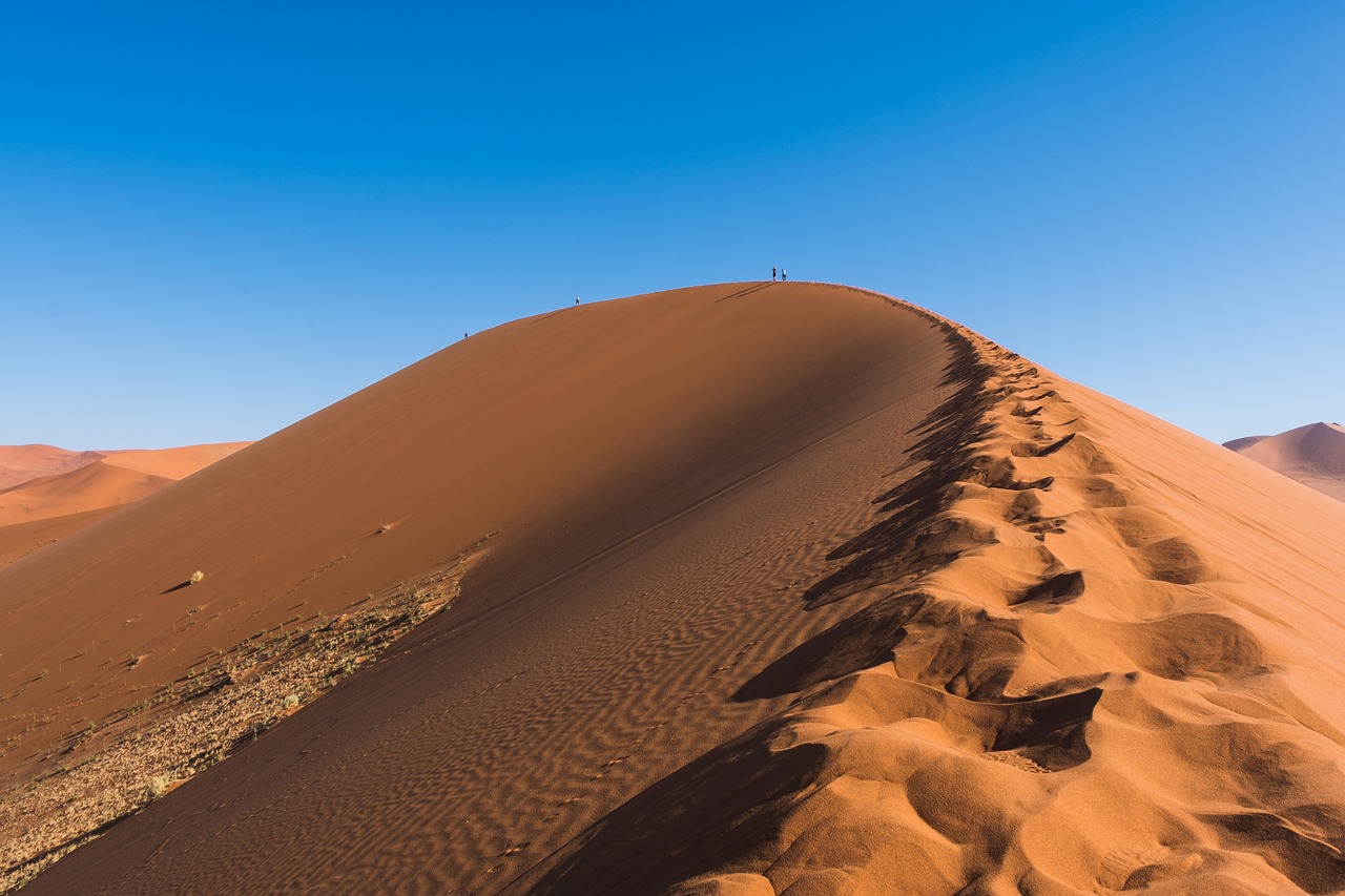 découvrez les stratégies et les solutions innovantes pour l'adaptation au changement climatique. apprenez comment les sociétés, les gouvernements et les communautés s'ajustent à un monde en évolution pour protéger notre environnement et assurer un avenir durable.