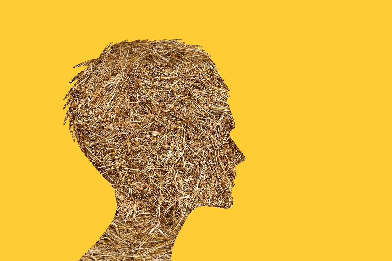 découvrez les enjeux de la désinformation dans notre société moderne. analyse des mécanismes, des conséquences sur l'opinion publique et des stratégies pour combattre ce fléau qui menace la vérité. engagez-vous pour une information vérifiée et responsable.