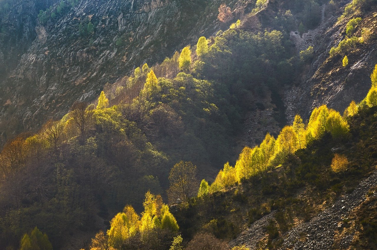 découvrez le concept d'éco-ambassadeurs, des acteurs engagés dans la promotion de pratiques durables et respectueuses de l'environnement. rejoignez ce mouvement pour un avenir écoresponsable et apprenez comment faire la différence dans votre communauté.