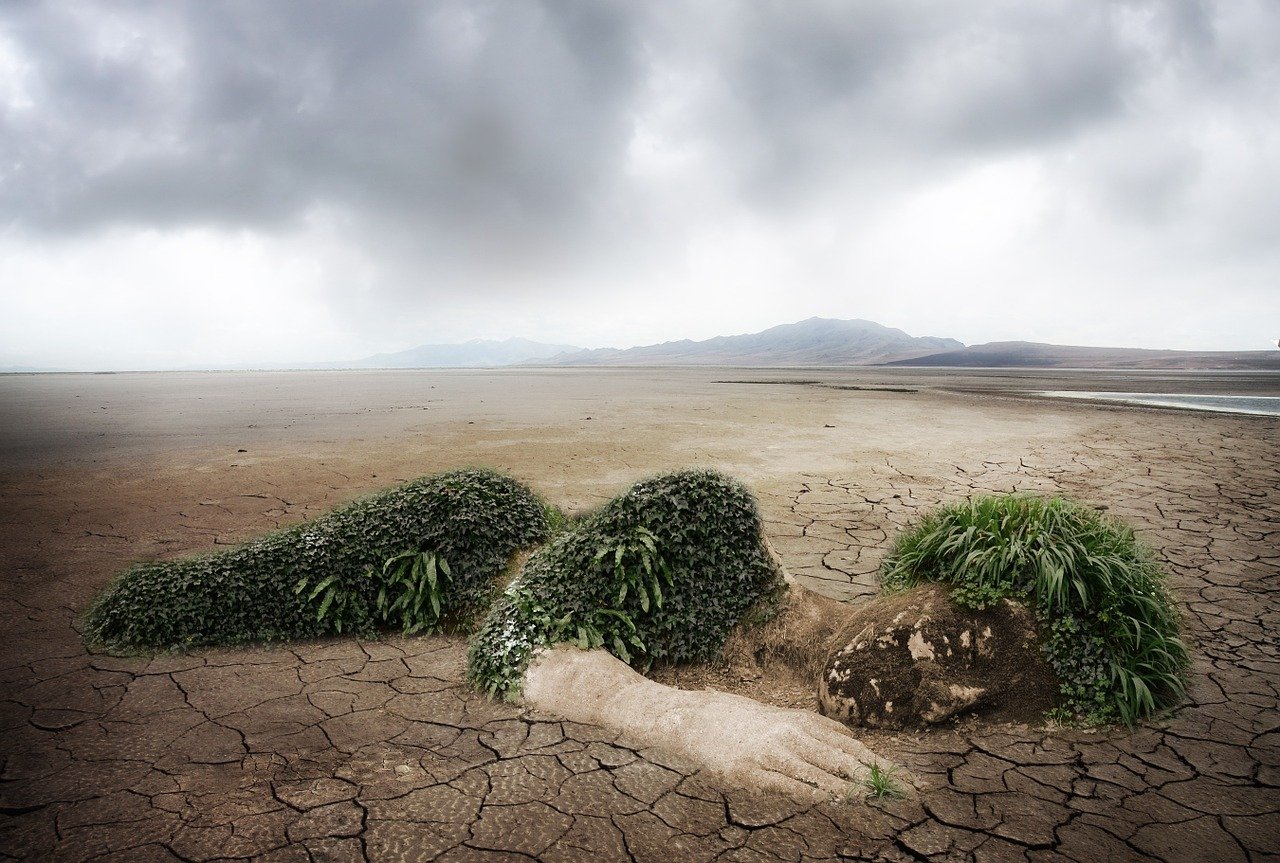 découvrez l'importance de l'éducation environnementale, une approche essentielle pour sensibiliser les générations futures aux enjeux écologiques. apprenez comment intégrer des pratiques durables et responsables dans votre quotidien!