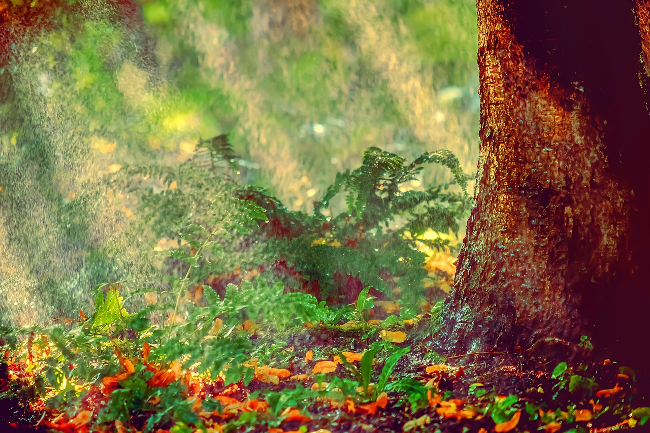 découvrez comment faire face aux vagues de chaleur avec des conseils pratiques, des astuces pour rester au frais et des informations sur les impacts de la chaleur intense sur notre santé et notre environnement. préparez-vous à affronter l'été avec sérénité!