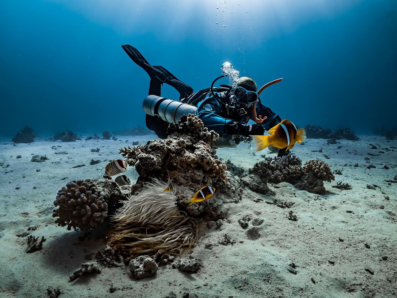 découvrez le potentiel de l'énergie marine, une alternative durable et innovante pour répondre aux défis énergétiques de notre époque. explorez les technologies et les projets qui transforment la puissance des océans en électricité renouvelable.