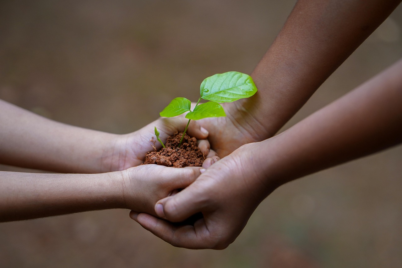 découvrez des stratégies efficaces pour la protection des sols, incluant des pratiques durables et des solutions innovantes pour préserver la santé de nos terres et garantir un avenir écologique.