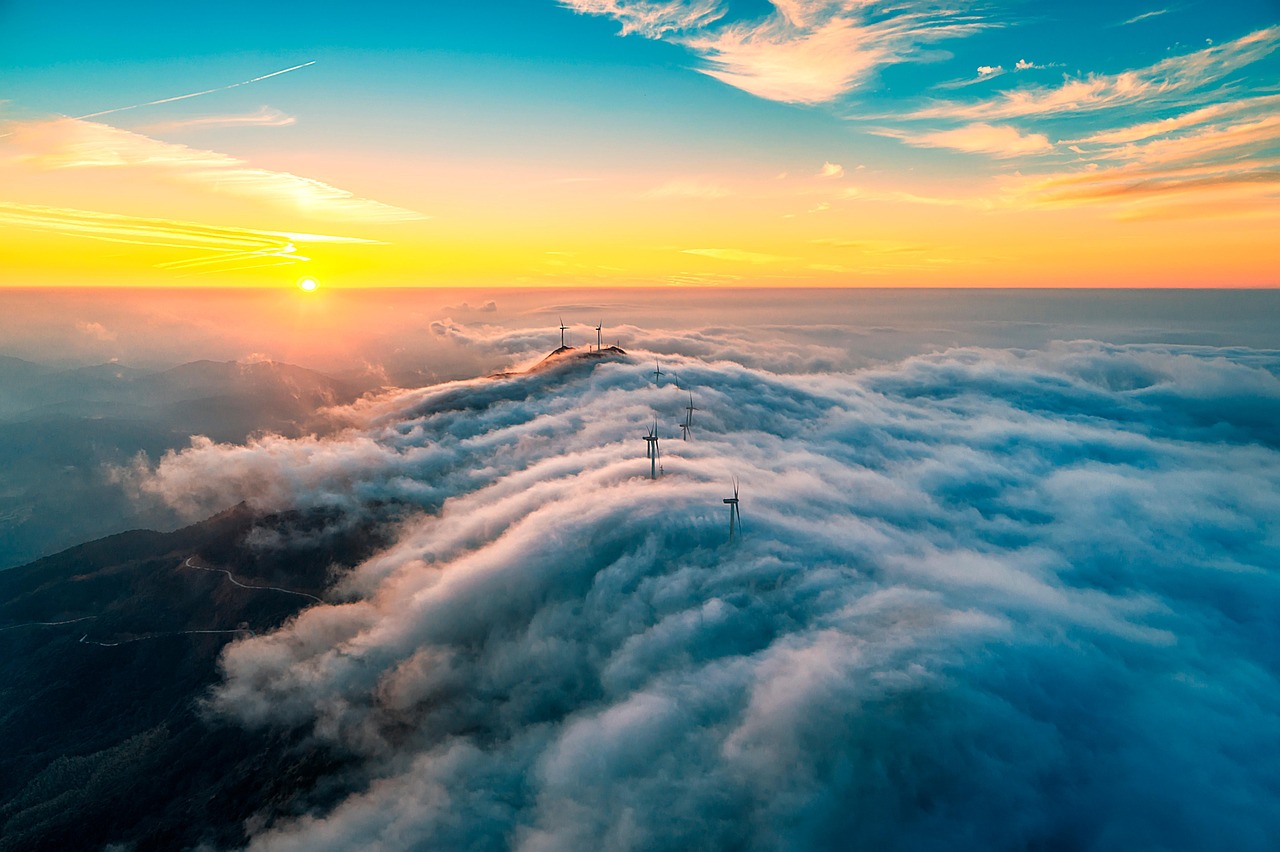 découvrez comment concevoir des paysages durables alliant esthétique et respect de l'environnement. explorez des techniques écologiques pour préserver la biodiversité tout en embellissant vos espaces extérieurs.
