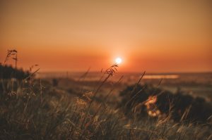 découvrez les joies de l'été avec nos conseils pour profiter pleinement de cette saison ensoleillée ! activités estivales, destinations de vacances, recettes rafraîchissantes et astuces pour un été inoubliable vous attendent.