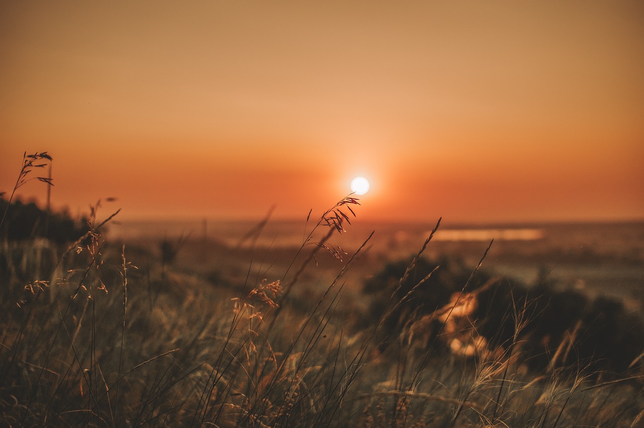 découvrez les joies de l'été avec nos conseils pour profiter pleinement de cette saison ensoleillée ! activités estivales, destinations de vacances, recettes rafraîchissantes et astuces pour un été inoubliable vous attendent.