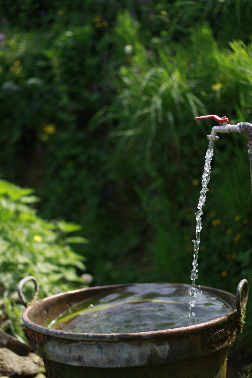 découvrez l'importance des ressources en eau, leur gestion durable et les défis majeurs liés à leur préservation. apprenez comment ces précieuses ressources soutiennent la vie, l'agriculture et l'économie, tout en explorant des solutions innovantes pour un avenir durable.