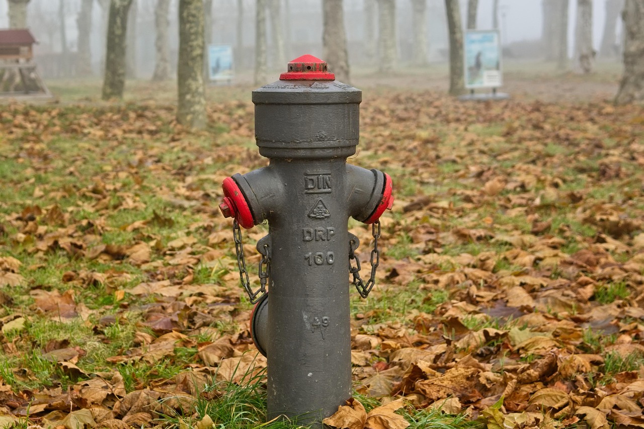 découvrez notre expertise en gestion de l'approvisionnement en eau. explorez des solutions durables et efficaces pour garantir un accès fiable à l'eau potable, tout en préservant nos ressources naturelles pour les générations futures.