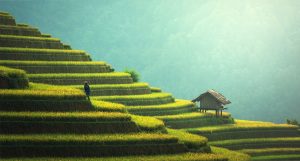 découvrez des initiatives durables qui transforment notre monde. explorez des projets innovants et des solutions écologiques qui favorisent un avenir respectueux de l'environnement et soutiennent le développement durable.