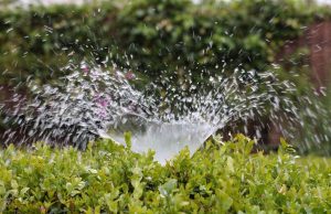 découvrez le concept de greening, qui vise à transformer nos environnements urbains et naturels en espaces plus durables et écologiques. apprenez comment cette approche contribue à la protection de la biodiversité, à la lutte contre le changement climatique et à l'amélioration de notre qualité de vie.