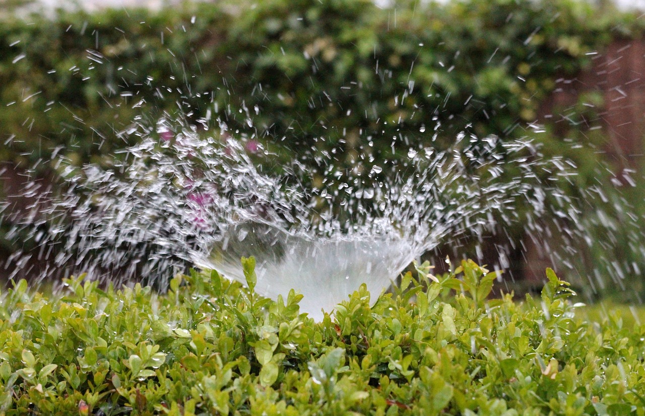 découvrez le concept de greening, qui vise à transformer nos environnements urbains et naturels en espaces plus durables et écologiques. apprenez comment cette approche contribue à la protection de la biodiversité, à la lutte contre le changement climatique et à l'amélioration de notre qualité de vie.
