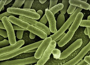 découvrez tout sur les virus : leur structure, leur mode de fonctionnement, et leur impact sur la santé et l'environnement. informez-vous sur les dernières recherches et les stratégies de prévention contre les infections virales.