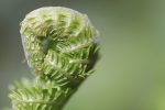 découvrez des astuces pratiques et des conseils utiles pour améliorer votre quotidien. que ce soit en matière de productivité, de bien-être, ou de loisirs, nos tips vous aideront à tirer le meilleur parti de chaque situation.