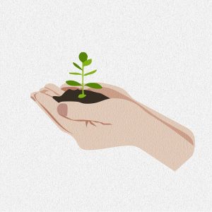 découvrez l'importance de la protection des sols pour la durabilité environnementale. explorez des techniques et des pratiques innovantes qui préservent la fertilité et la biodiversité des terres, tout en contribuant à la lutte contre le changement climatique.