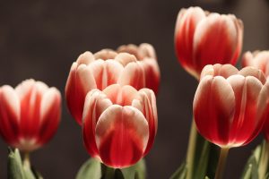 découvrez comment le 'climate awakening' transforme notre perception du changement climatique et incite à adopter des comportements plus durables. explorez les initiatives inspirantes et les actions que chacun peut entreprendre pour protéger notre planète.