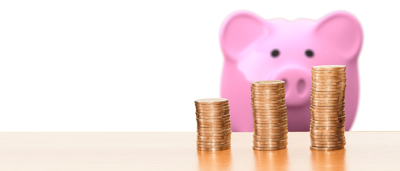 découvrez les dépenses brunes, un concept économique clé qui examine l'impact environnemental et social des investissements. apprenez comment ces dépenses influencent la durabilité et le développement économique dans notre société moderne.