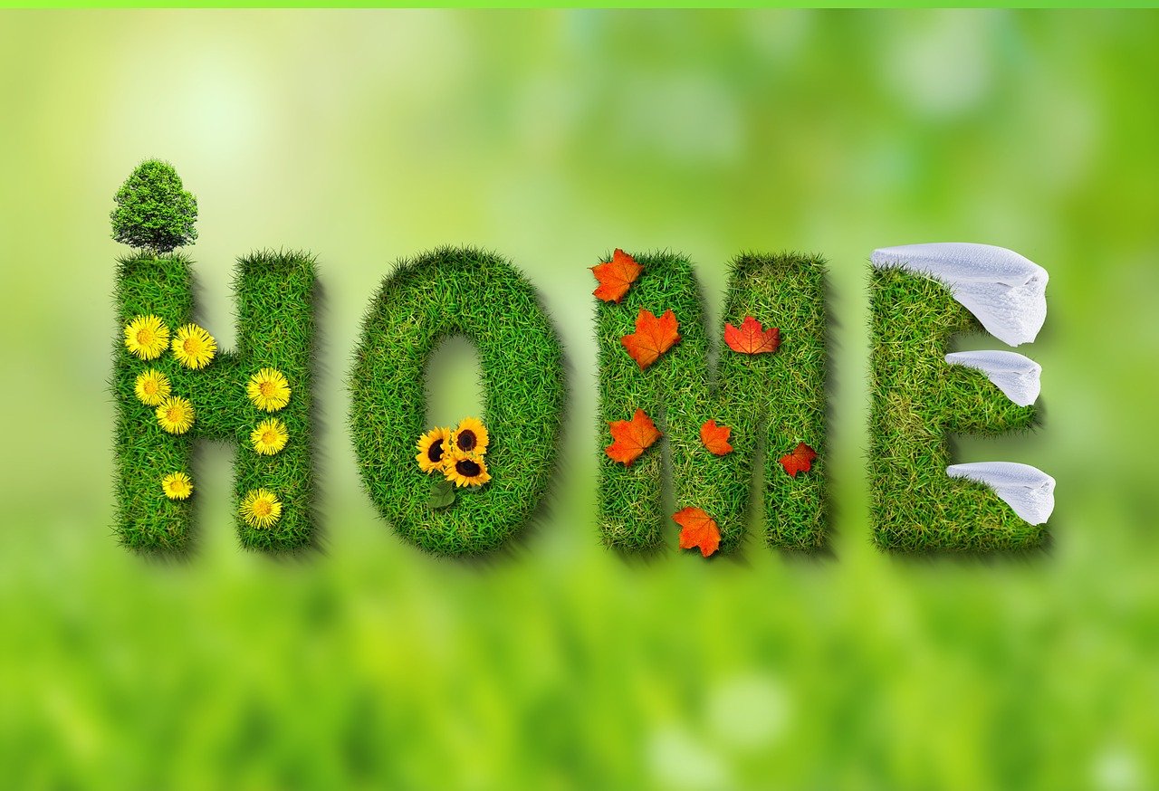 découvrez l'écologie, une science vitale qui étudie les relations entre les organismes vivants et leur environnement. explorez nos articles pour comprendre l'importance de la biodiversité et les enjeux environnementaux actuels pour préserver notre planète.