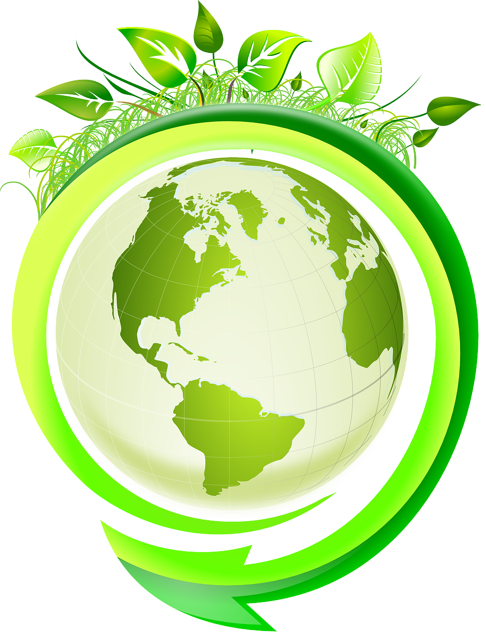 découvrez l'écologie, une science essentielle qui étudie les interactions entre les organismes vivants et leur environnement. apprenez comment protéger notre planète et promouvoir un développement durable grâce à des actions écologiques.