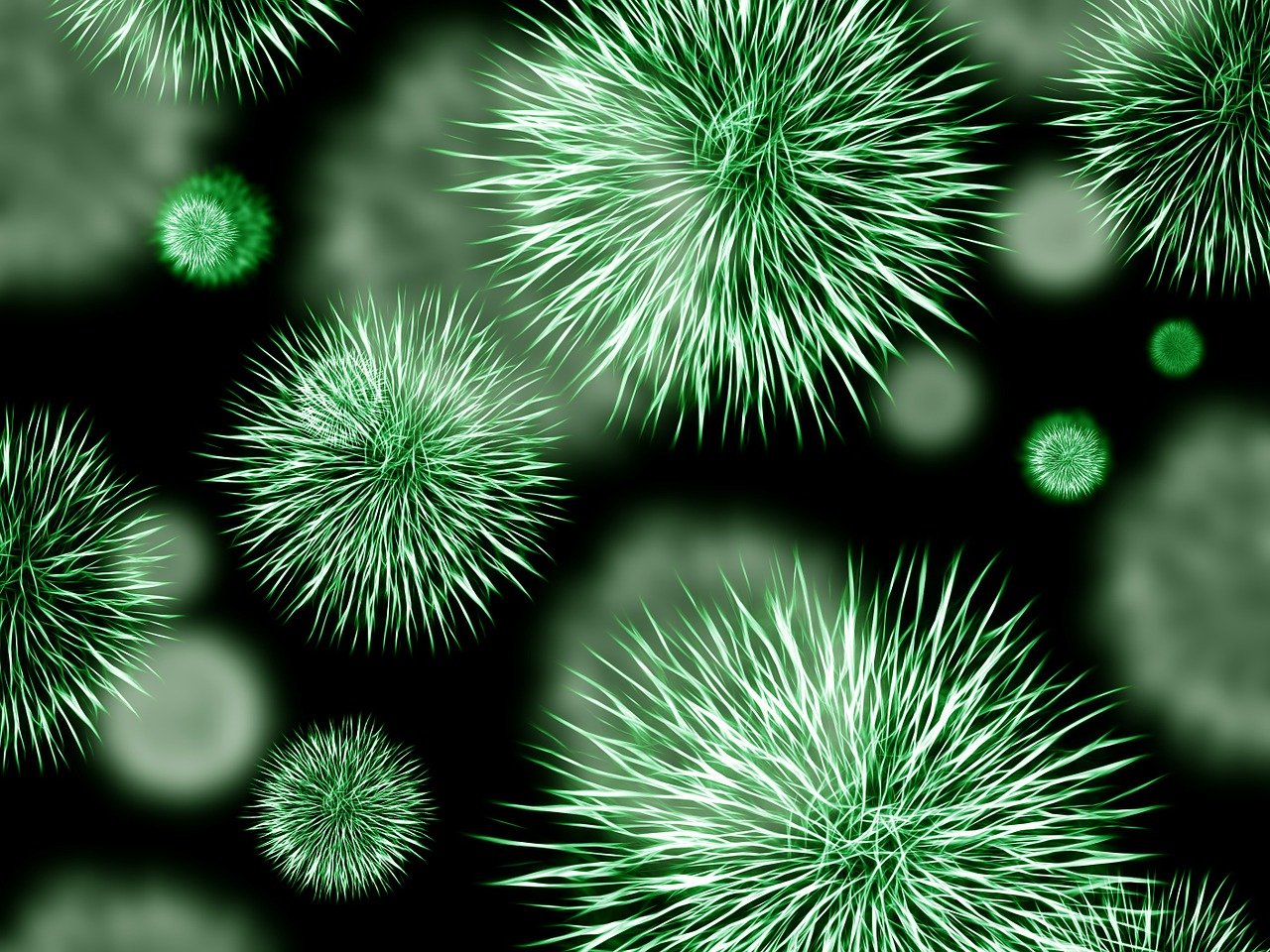 découvrez le monde fascinant des virus, ces agents biologiques invisibles qui infectent les organismes vivants. apprenez comment ils se propagent, leurs impacts sur la santé humaine et animale, et les dernières avancées scientifiques pour les combattre.