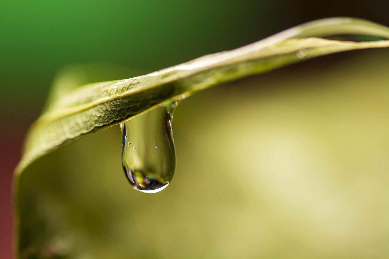 découvrez ce qu'est la transition écologique, ses enjeux, ses objectifs et les actions à mettre en place pour bâtir un avenir plus durable et respectueux de l'environnement.
