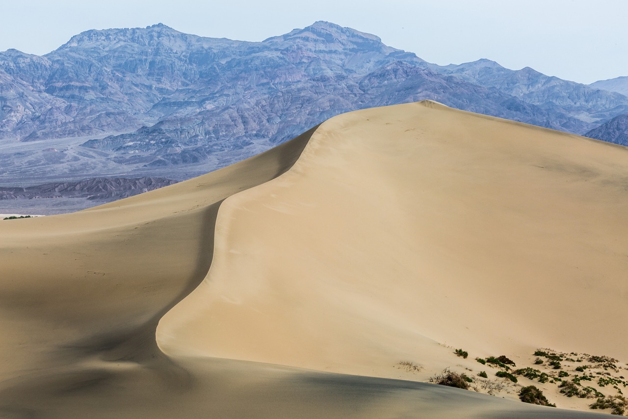 découvrez comment chaque action compte face au changement climatique : explorez votre climate journey pour comprendre, agir et transformer votre impact environnemental dès aujourd'hui.