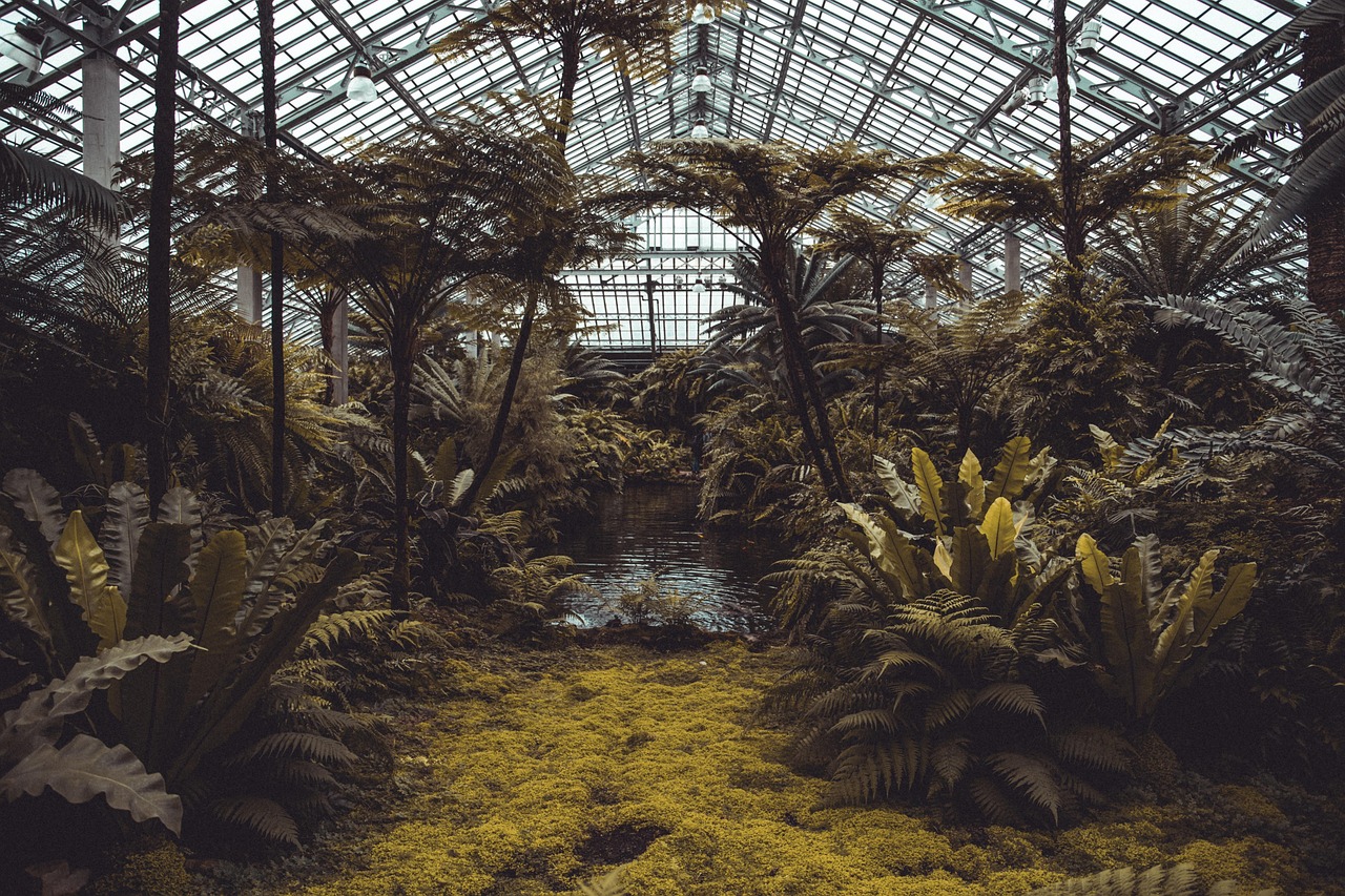 découvrez les carrières environnementales : explorez des métiers engagés pour la planète, l’écologie et le développement durable. trouvez votre voie parmi les options de formation et d’emploi dans le secteur de l’environnement.